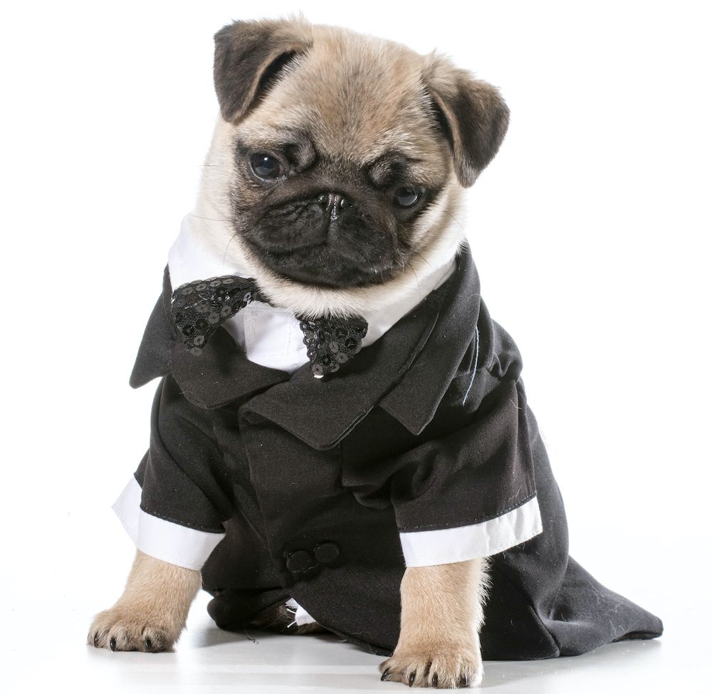 The Gossip Column, December 3, 2021